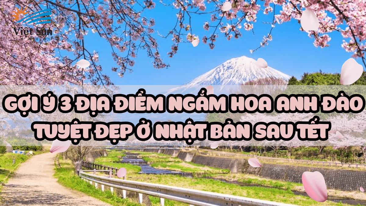 GỢI Ý 3 ĐỊA ĐIỂM NGẮM HOA ANH ĐÀO TUYỆT ĐẸP Ở NHẬT BẢN SAU TẾT