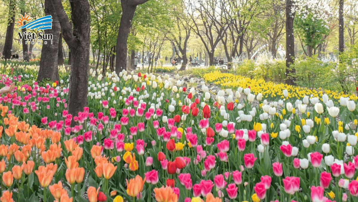 Công viên Seoul Forest.png