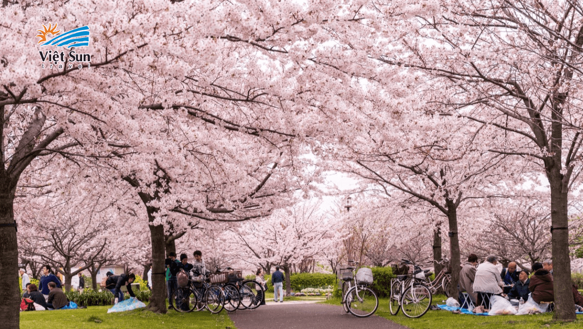 Uno park.png