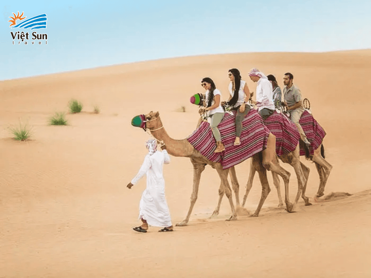 Cưỡi lạc đà trong tour Dubai
