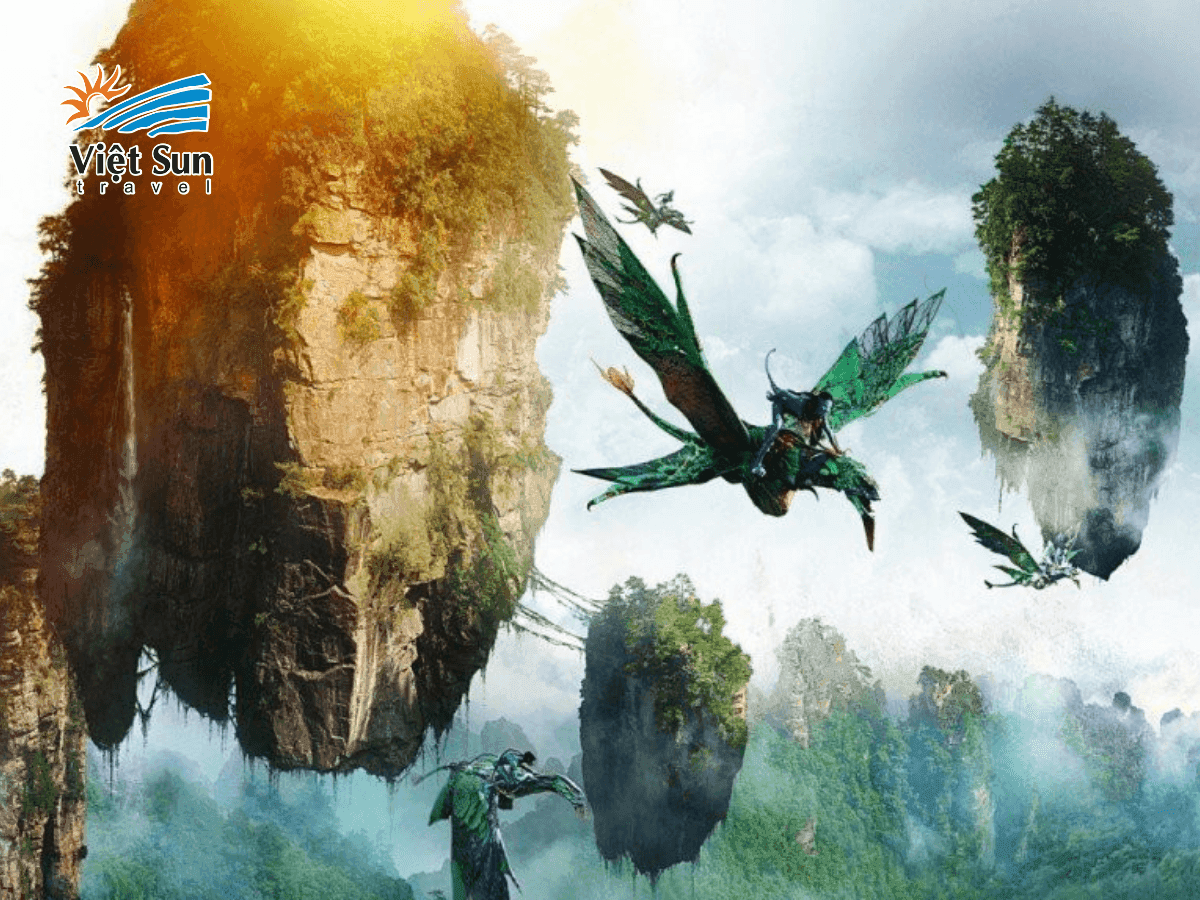 Avatar Hallelujal là bối cảnh quay bộ phim Avatar