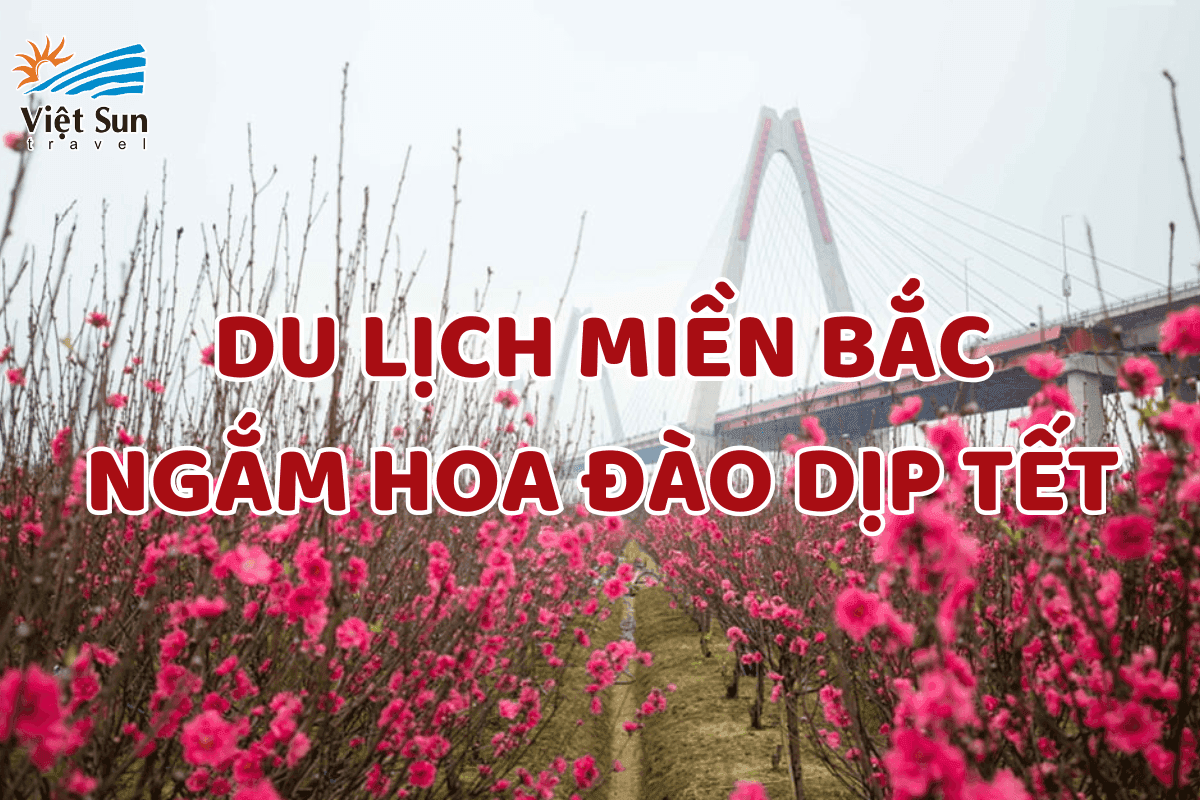 Top 5 Địa Điểm Ngắm Hoa Đào Đẹp Nhất Miền Bắc Dịp Tết