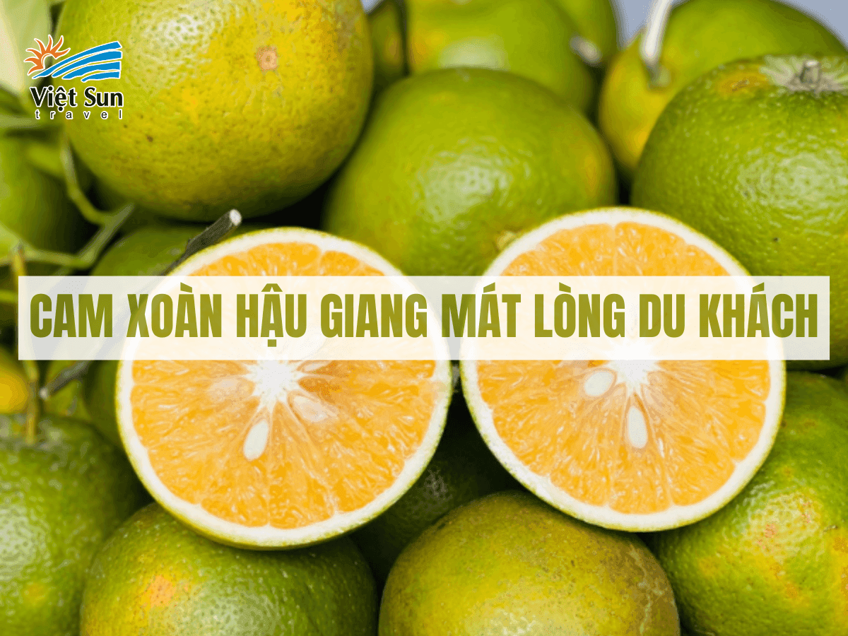 Cam xoàn Hậu Giang mát lòng du khách