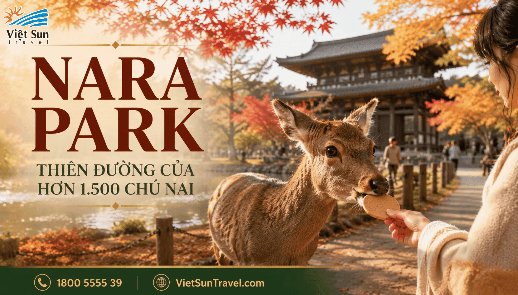 CÔNG VIÊN NARA CÓ GÌ CHƠI? THIÊN ĐƯỜNG CỦA HƠN 1.500 CHÚ NAI TỰ NHIÊN NHẬT BẢN