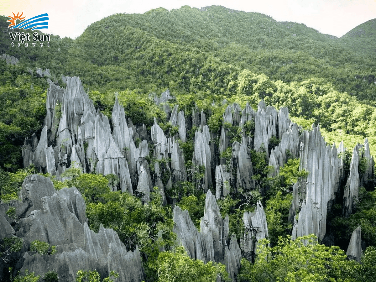 Công viên quốc gia Gunung Mulu