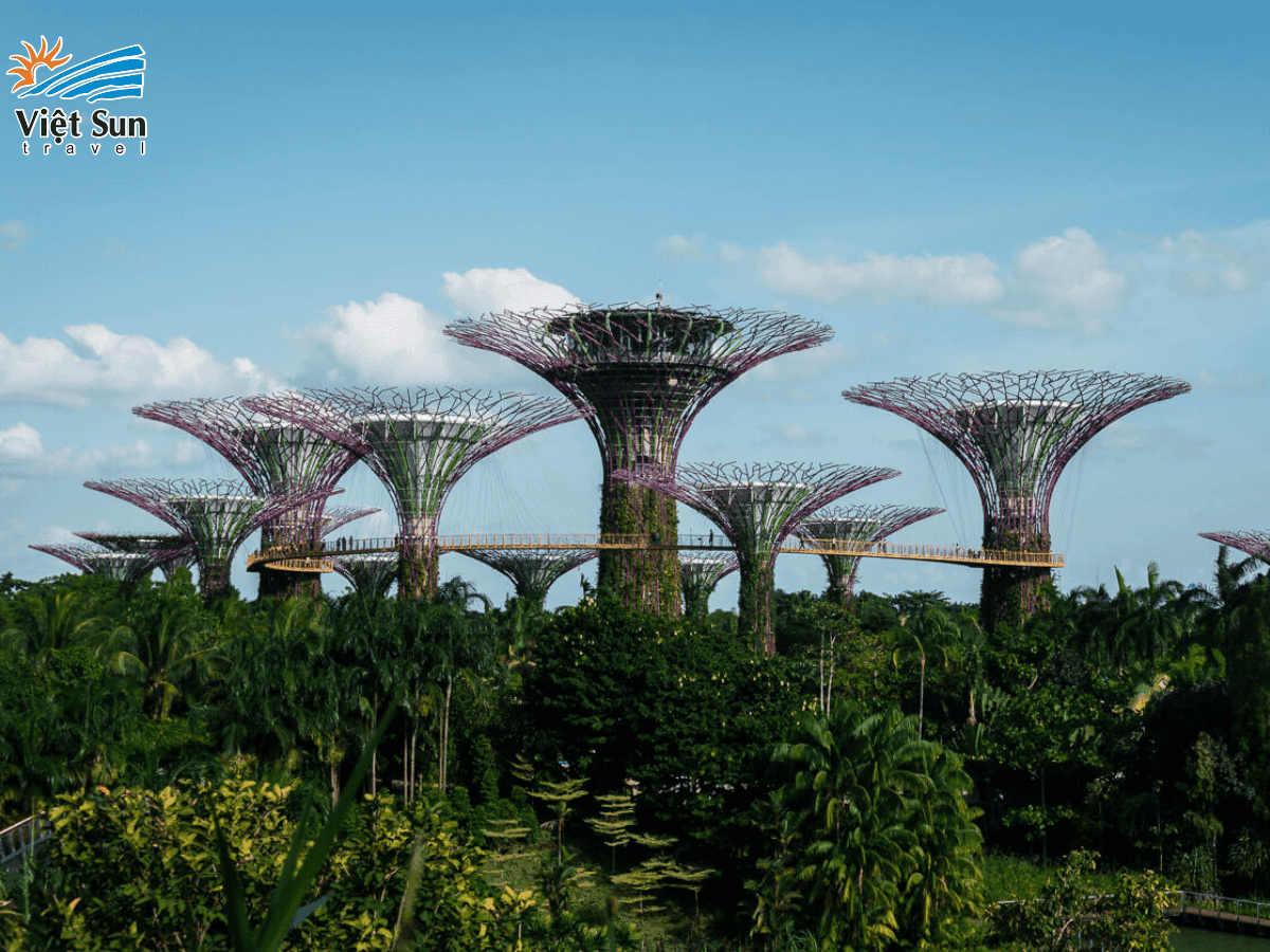 Du lịch Singapore check in Gardens by the Bays