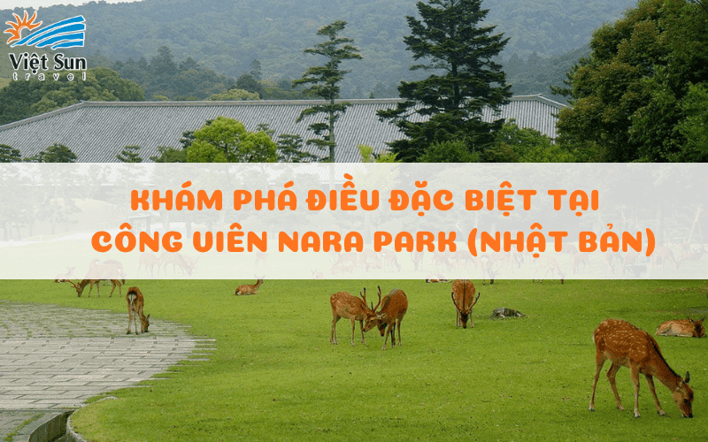 CÔNG VIÊN NARA PARK CÓ GÌ ĐẶC BIỆT MÀ KHIẾN DU KHÁCH MÊ MẨN?