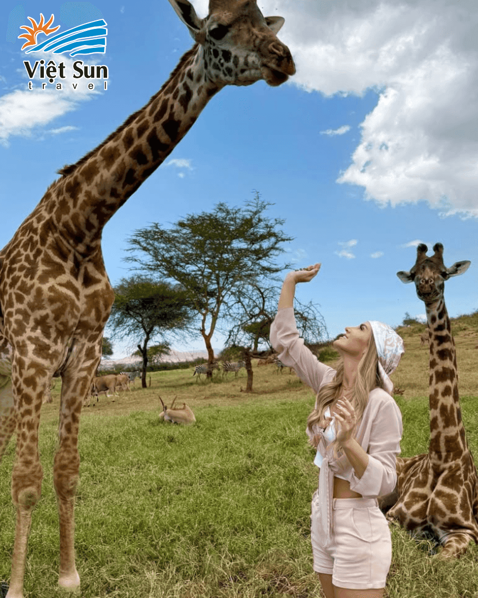 Check in mùa thu tại Serengeti, Châu Phi
