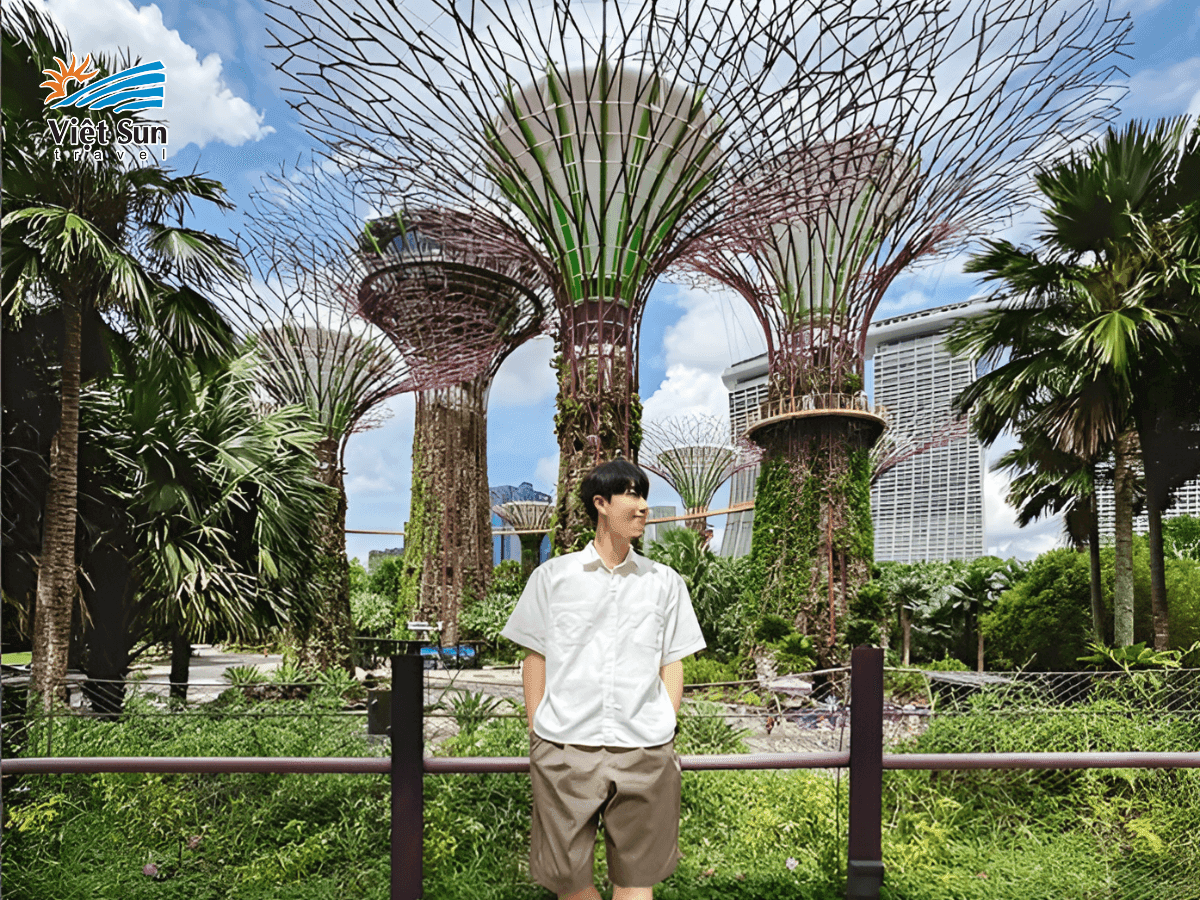 Check-in tại Gardens by the Bay