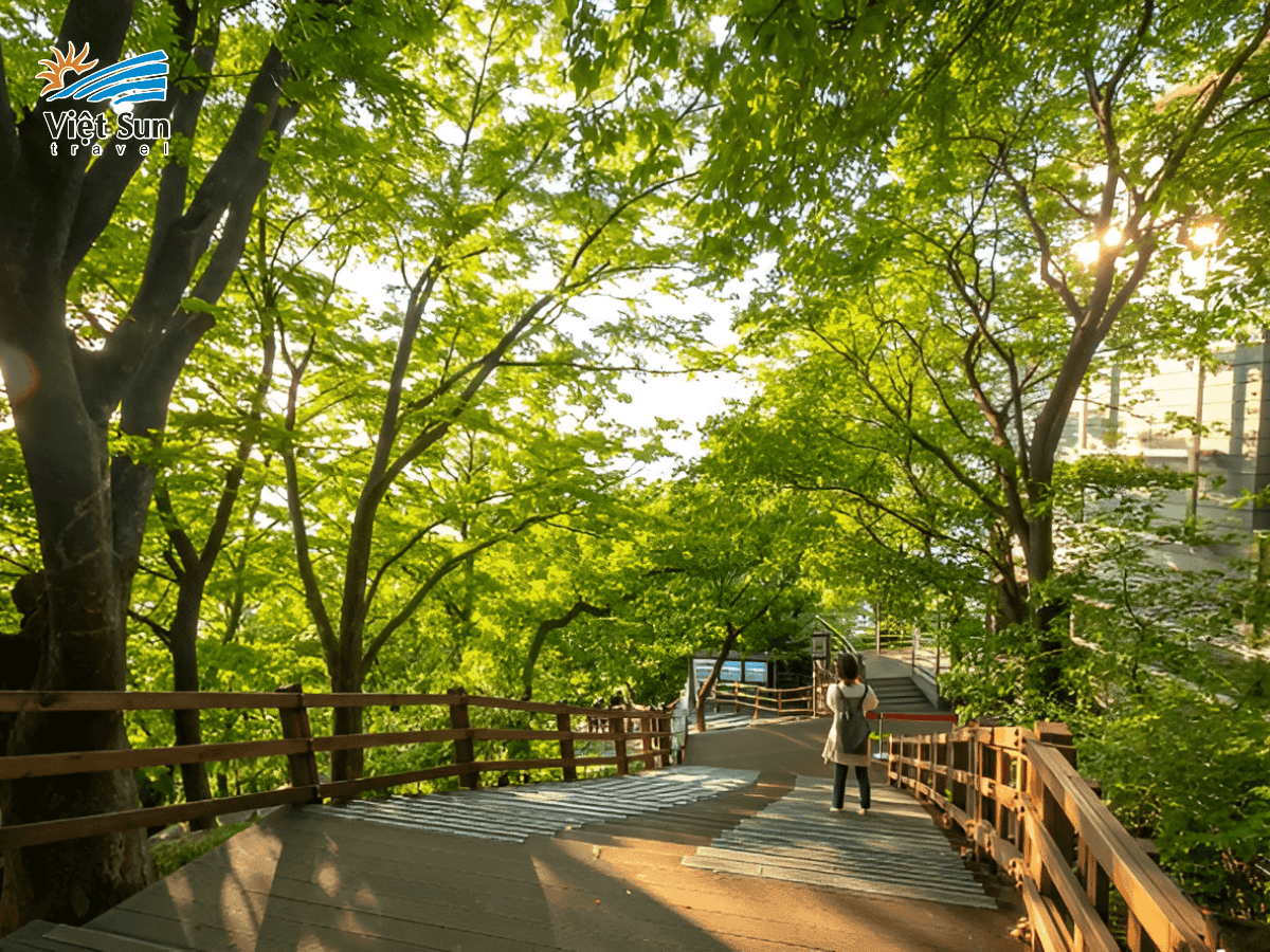 Con đường đi bộ lên tháp Namsan