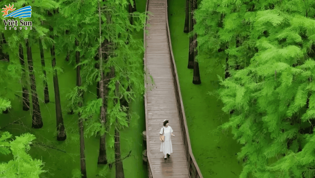 ĐẦM LẦY THANH SƠN