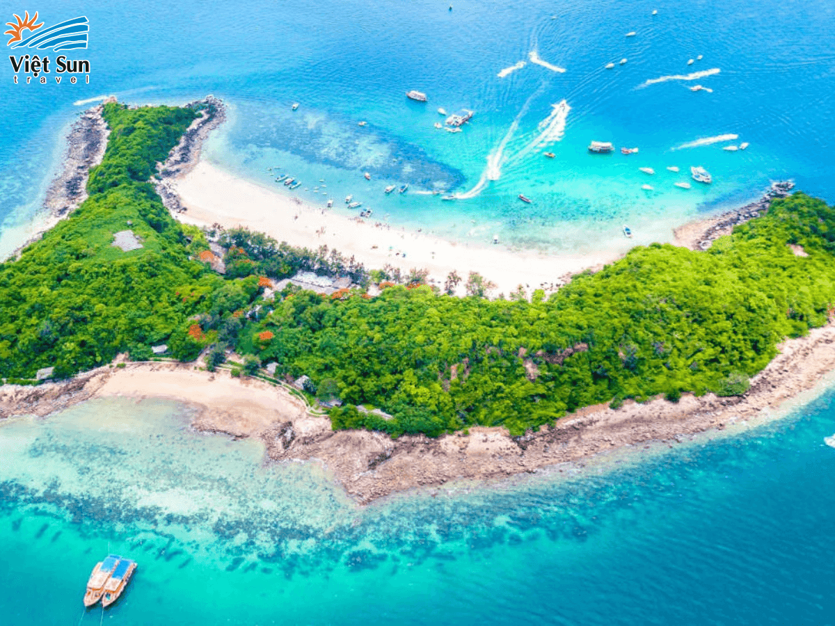 Đảo Coral - Thiên đường San hô.png