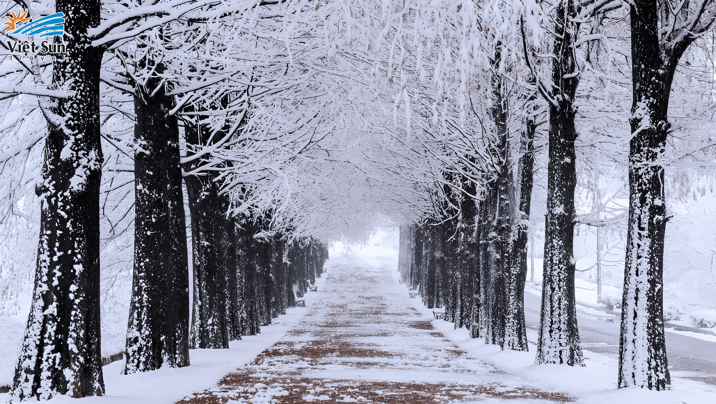 Đảo Nami - Viet Sun Travel