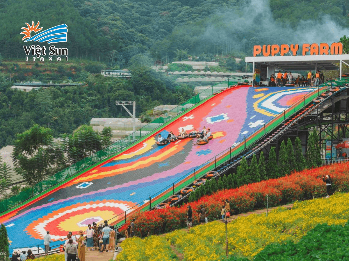 Đoàn ghé tham quan Puppy Farm