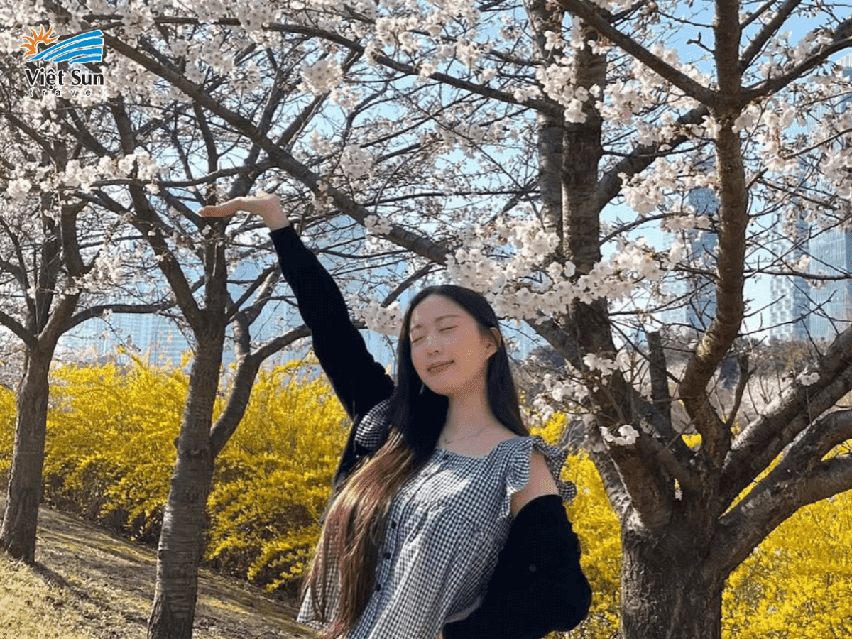 Du lịch mùa xuân tại Central Park, Mỹ 