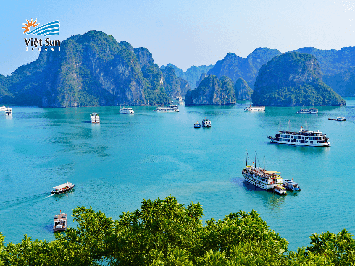 tham quan Vịnh Hạ Long