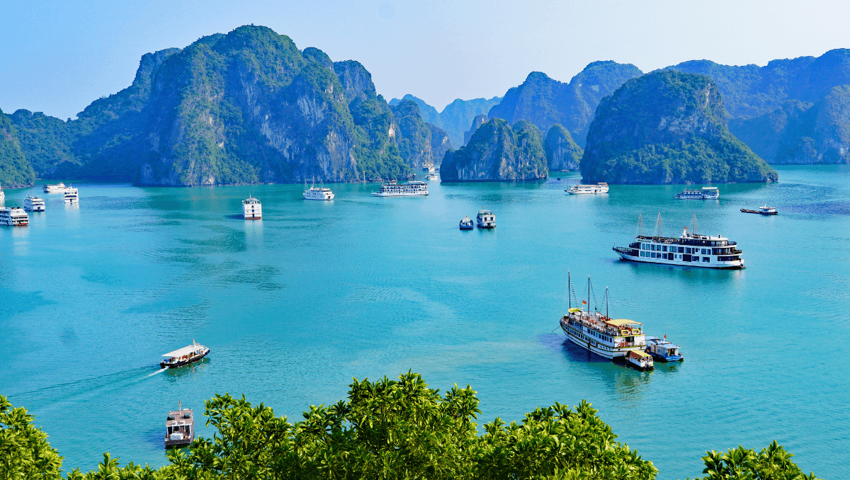 Hạ Long