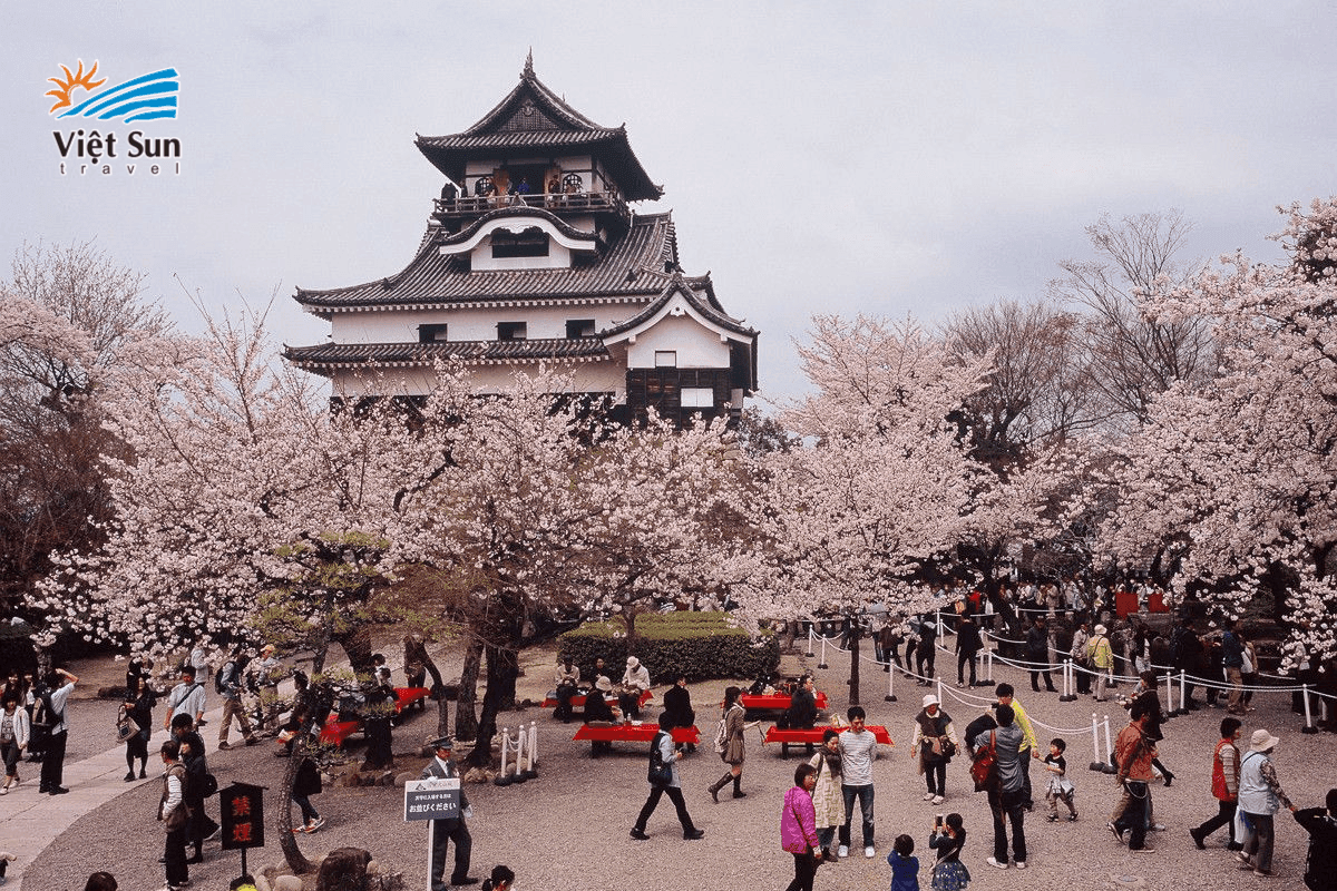 Hanami – mùa hoa anh đào rực rỡ ở Kyoto.