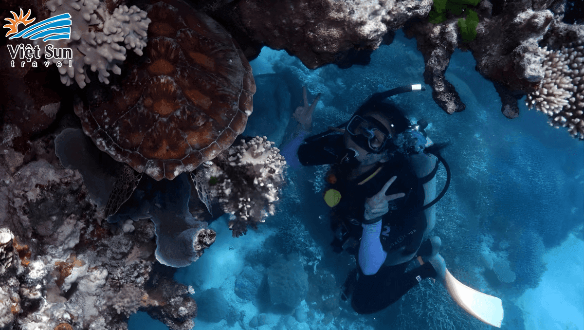 Lặn ngắm san hô.Viet Sun Travel