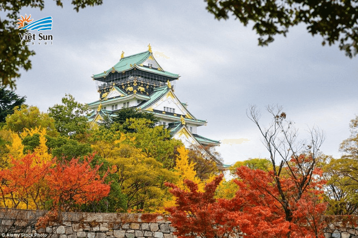 Lâu đài Osaka giữa mùa lá đỏ rực rỡ.