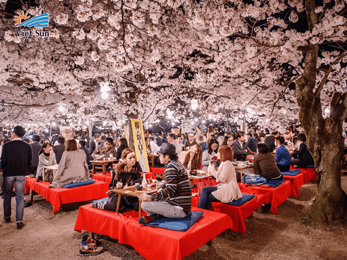 Lễ hội hoa Anh Đào (Sakura Matsuri) - Nhật Bản.png