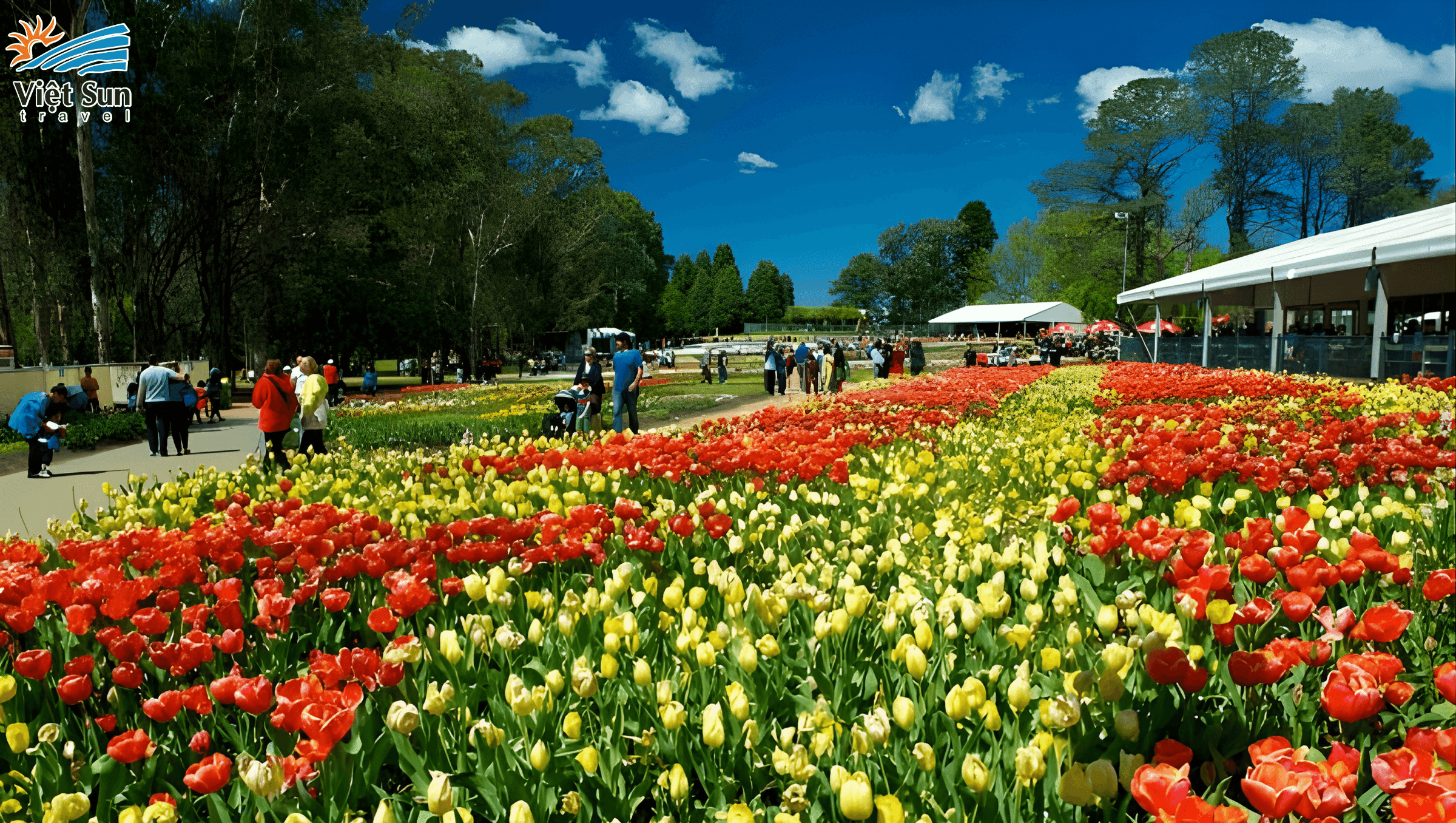 Lễ hội hoa Floriade Viet Sun Travel