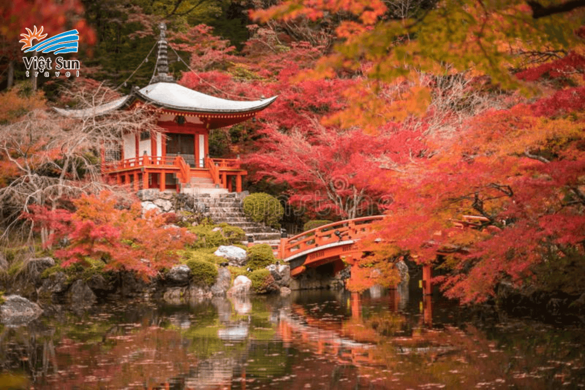 Momiji – mùa lá đỏ rực rỡ tại Kyoto.