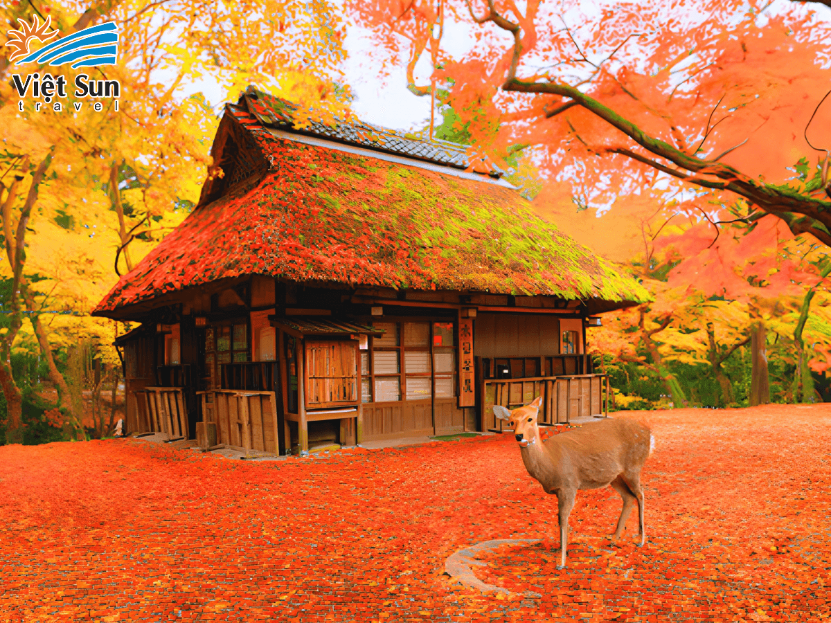 Nara Park.png