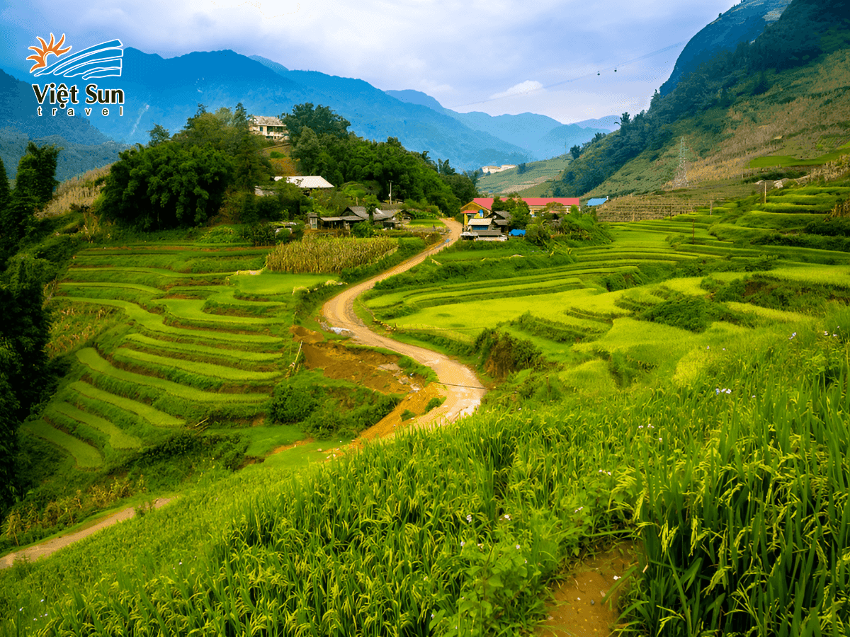 Ruộng bậc thang ở bản Cát Cát