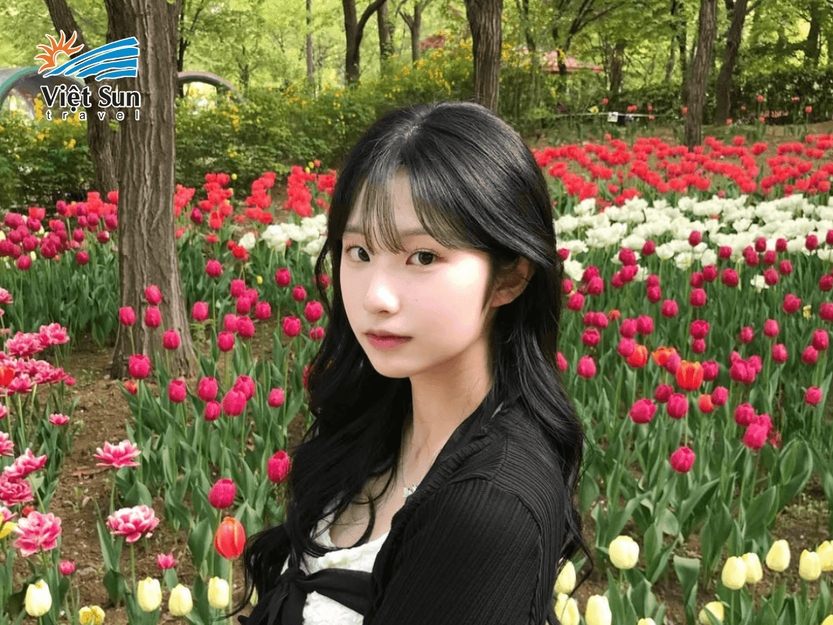 Sắc hoa tulip rực rỡ tại Seoul Forest