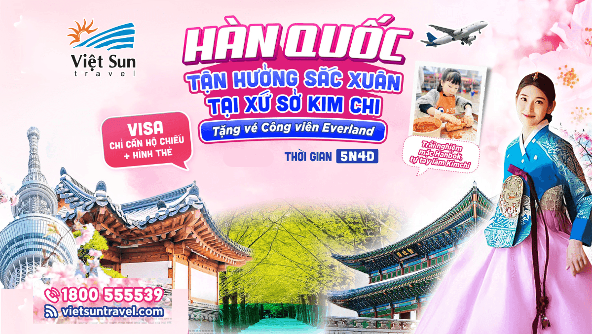 tour hàn quốc mùa hoa anh đào