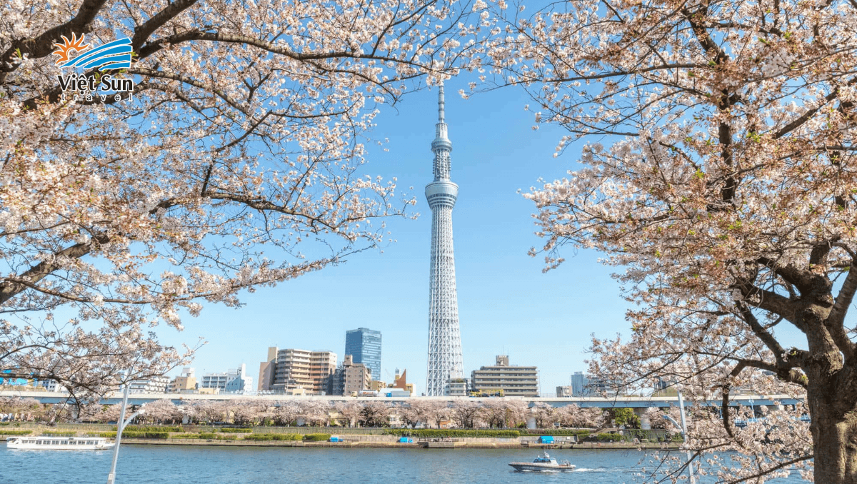 Tháp truyền hình Tokyo Sky Tree.png