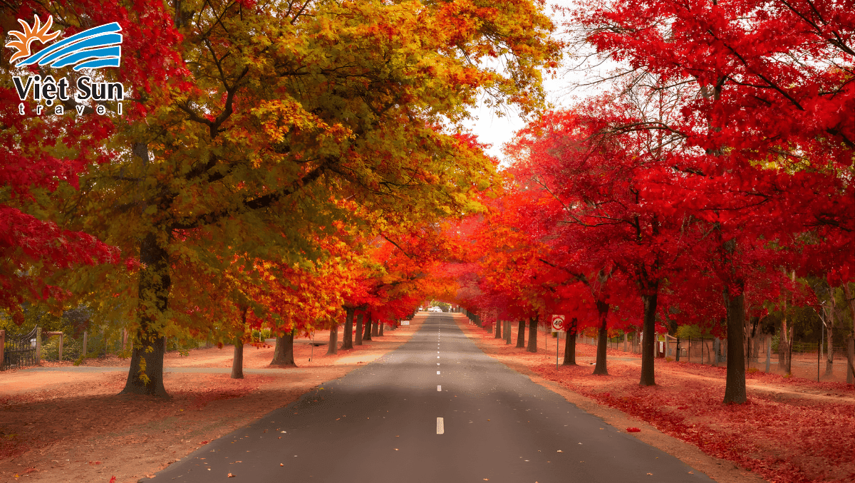 Thị Trấn Bright.Viet Sun Travel