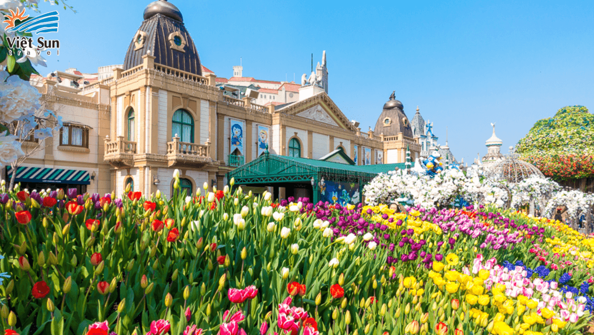 Mùa hoa Tulip tại Hàn Quốc