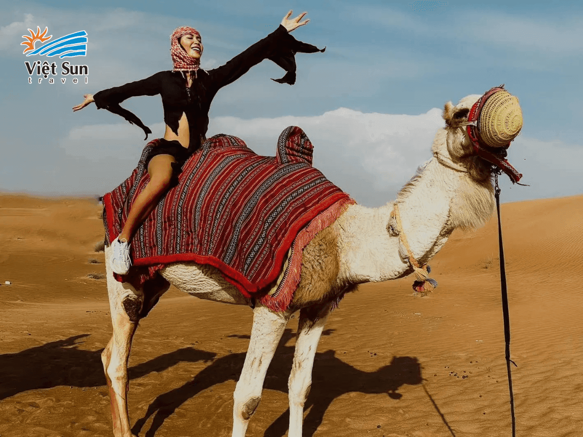 Trải nghiệm cưỡi lạc đà tại Sa mạc Safari.png