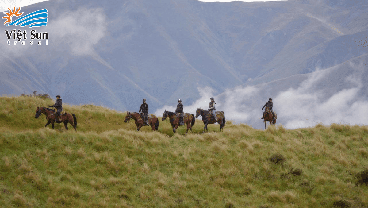 Trải nghiệm cưỡi ngựa.Viet Sun Travel