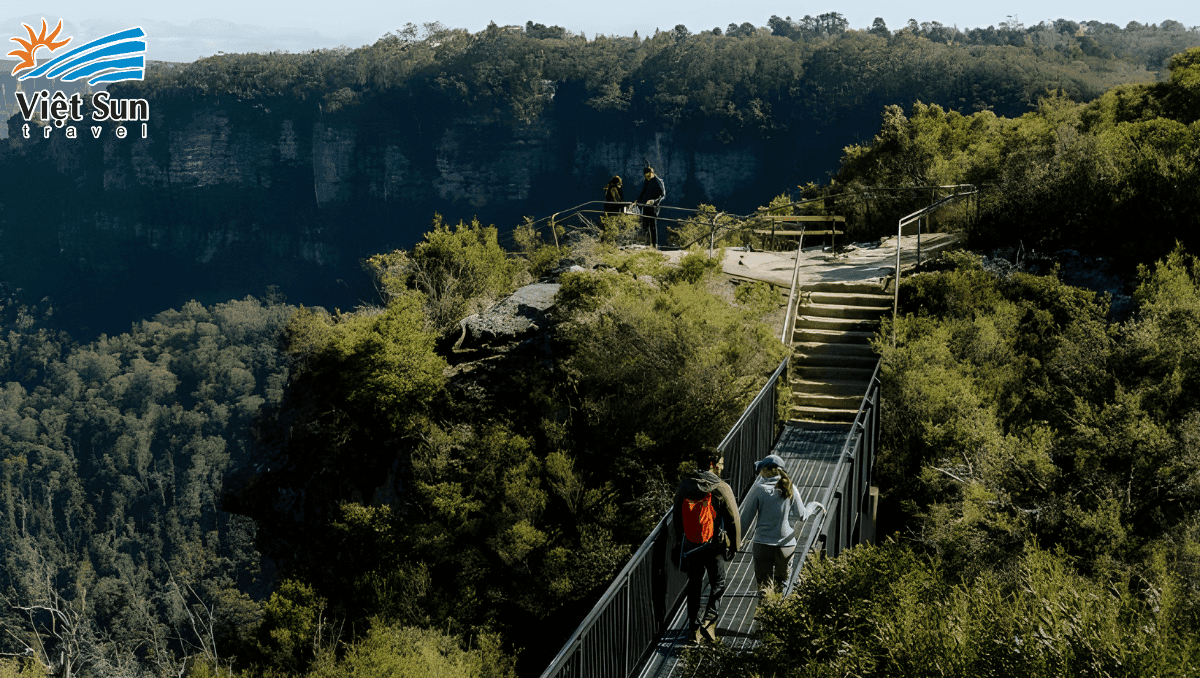 Trekking rừng nguyên sinh.Viet Sun Travel 