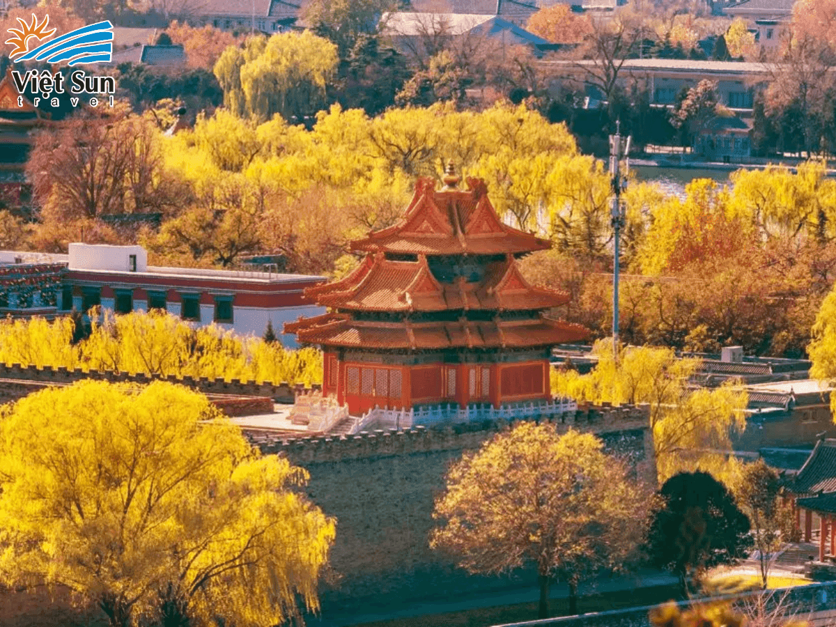 Tử Cấm Thành.png