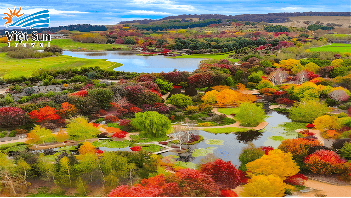 Vườn Bách Thảo Mount Wilson.Viet Sun Travel