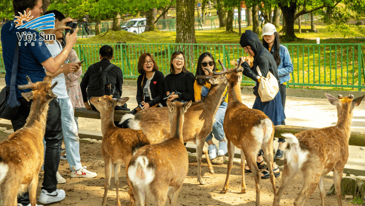 công viên nara park.png