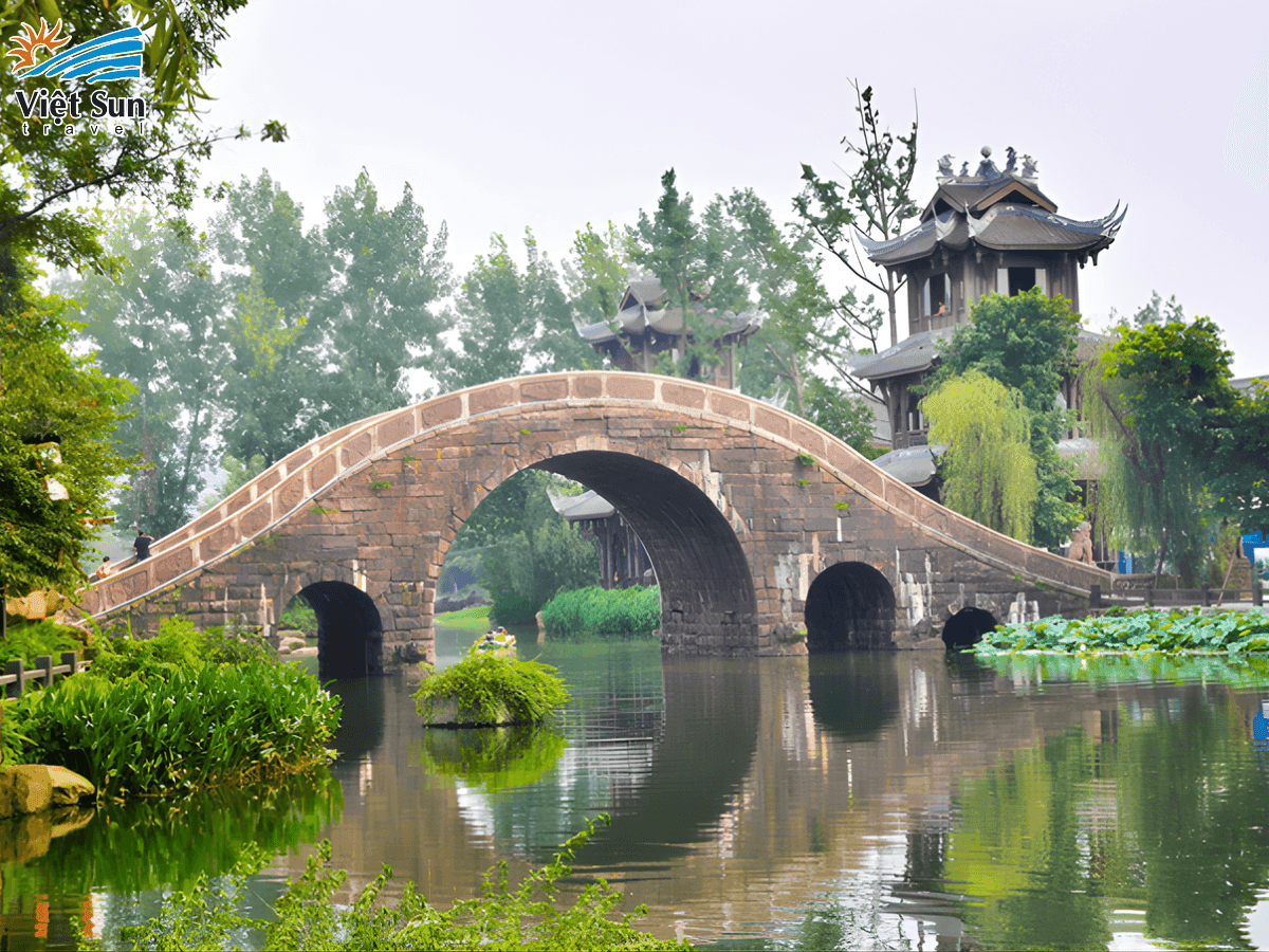 cửu trại câu web (2).png