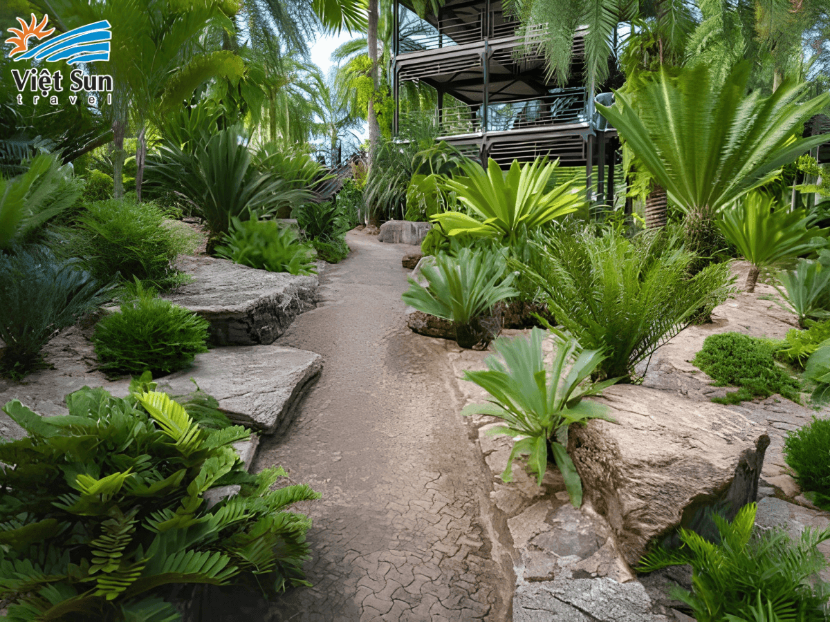 cycad tree.png