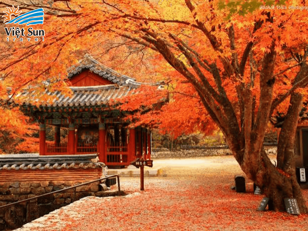 đền Todaiji.png
