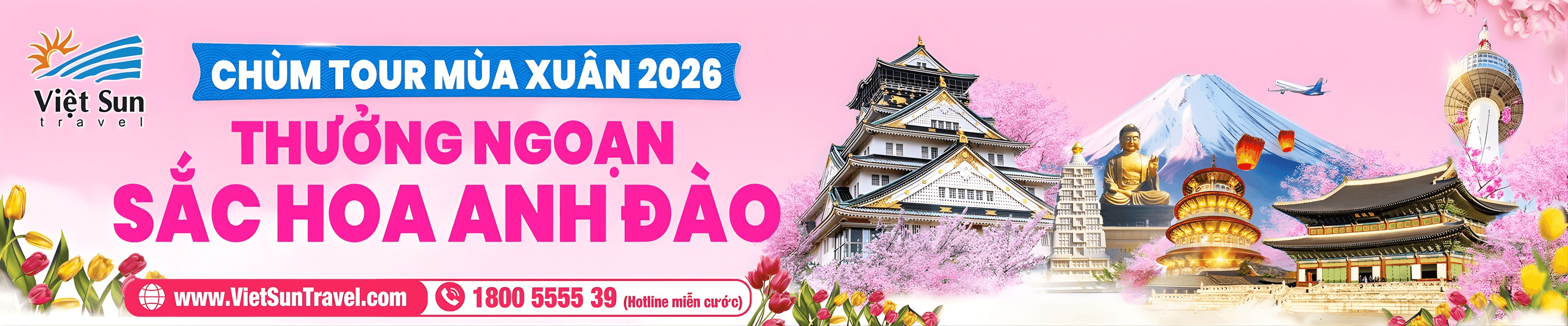 du lịch hoa anh đào viet sun travel 