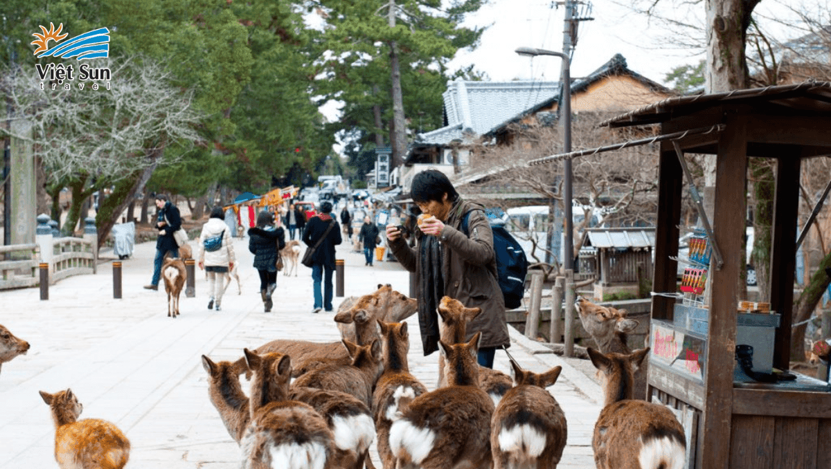 nara park Nhật Bản