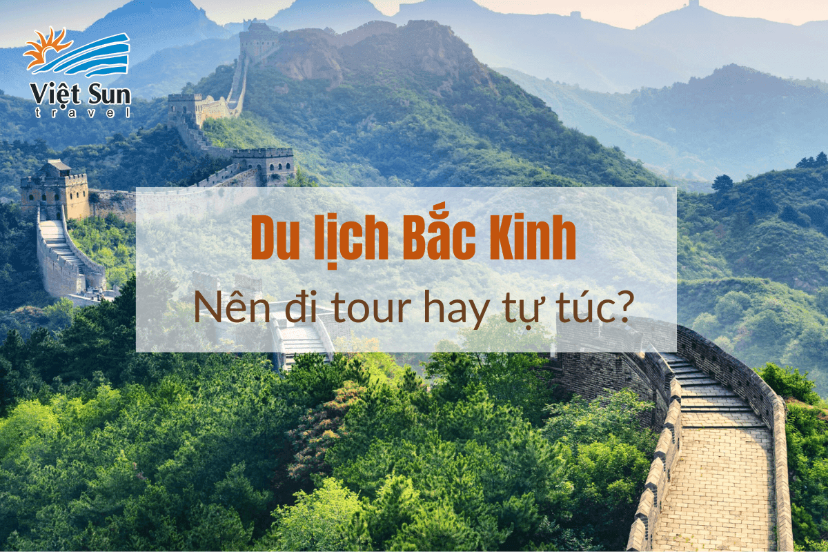 Du lịch Bắc Kinh: Nên đi tour hay tự túc? So sánh toàn diện và mẹo chọn phù hợp