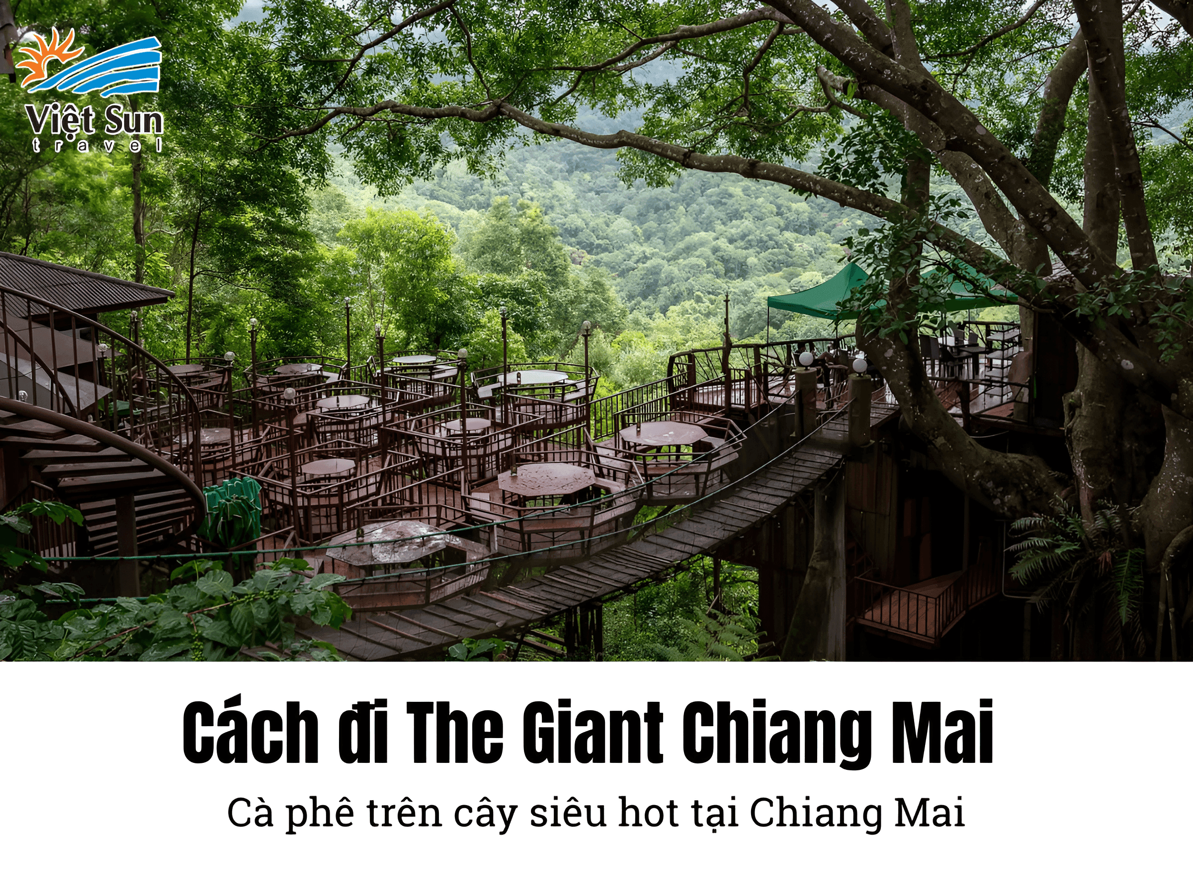 Cách đi The Giant Chiang Mai – Cà phê trên cây siêu hot tại Chiang Mai