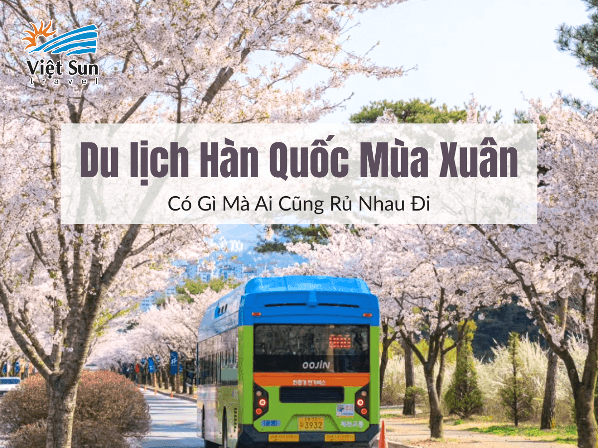 Du lịch Hàn Quốc Mùa Xuân: Có Gì Mà Ai Cũng Rủ Nhau Đi?