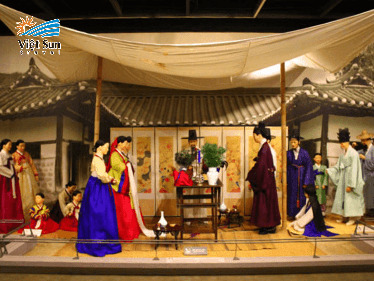 Bảo tàng Rong Biển Seoul – Điểm đến không thể bỏ qua trong hành trình du lịch Hàn Quốc