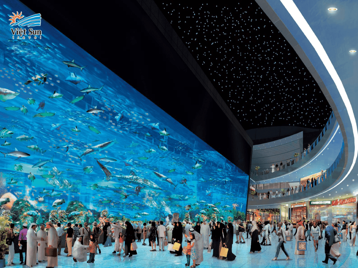 Bể thủy sinh lớn nhất thế giới Dubai Aquarium & Underwater Zoo